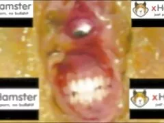 Slik Anaal na neuken met de minnaar is een sexy harde sexfilms slet