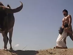 Actief meisje in visnetten en loopt in een verdomde staand als hardsextube een gek